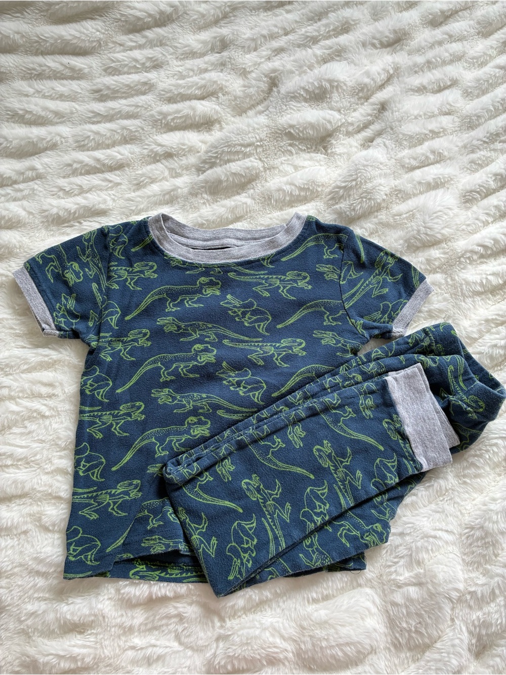 Lily & Dan Dinosaur Short Sleeve Kids Pajama Set
